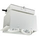 Trimless Multiple Lighting System White Recessed Trimless 2-Head MLS Housing in Spot, 3000K