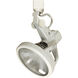 TRULY 1 Light 120V Black Track Head Ceiling Light in H-Style