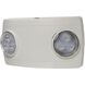 Aaliyah 2 Light Flush Mount