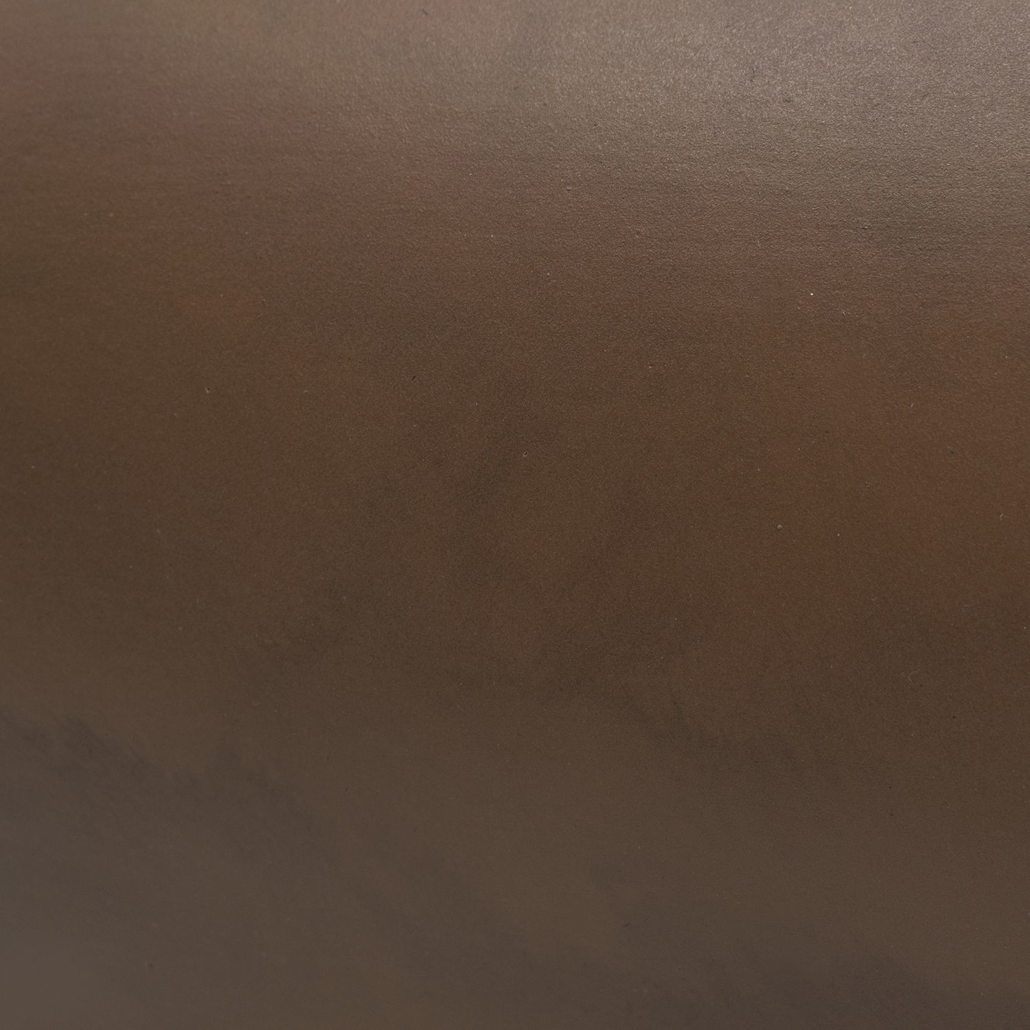 Ambiance Collection 1 Light Vanilla Gloss with Polished Brass Wall Sconce Wall Light