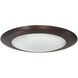 Opal Light Bronze Surface Mounted Light