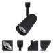 MAX Black Track Head Ceiling Light in Narrow Flood, 2700K, H-Style