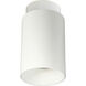 iLENE LED 5.5 inch White Surface Mount Mini Cylinder Ceiling Light in 2700K, 2000