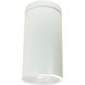Line Voltage LED White with White and White Surface Mount Cylinder Ceiling Light in Reflector, LED 35W