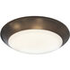 Opal Bronze Surface Mounted Light in 2700K