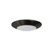 Opal Bronze Surface Mounted Light in 2700K