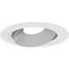 Pearl Haze Reflector / Warm White Flange LED Round Adjustable Cone Retrofit in 3000K, Haze / Warm White, 4" Retrofit
