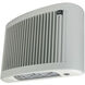 Aaliyah 1 Light Flush Mount