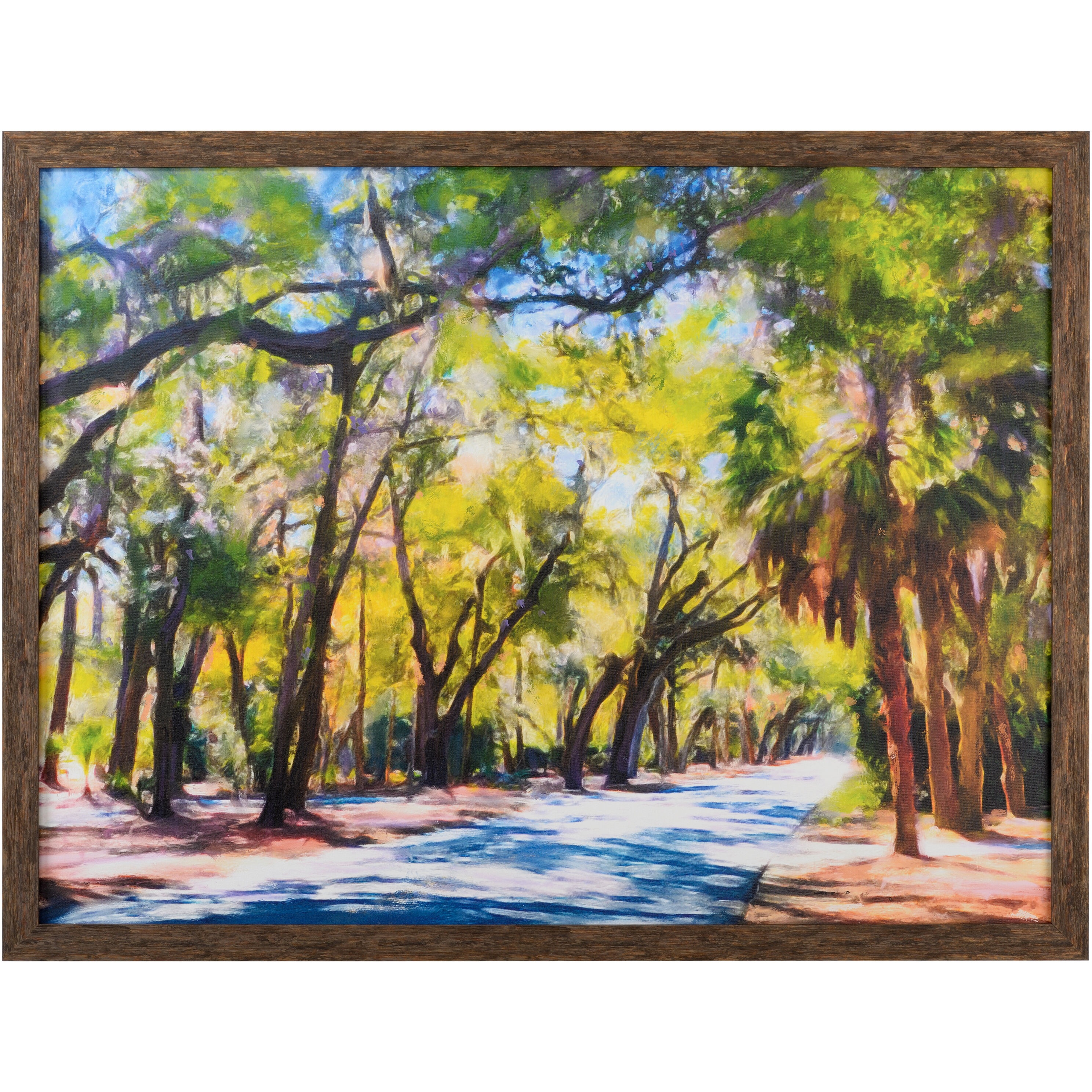 Spanish Moss 51 X 39 inch Print