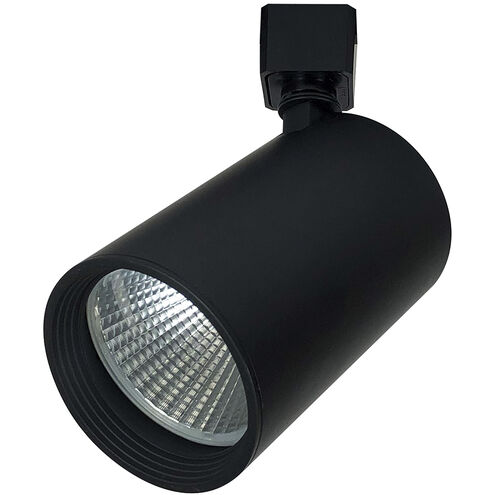 Jason PS Black Track Head Ceiling Light in Flood, H-Style, Flood Optic, Selectable CCT