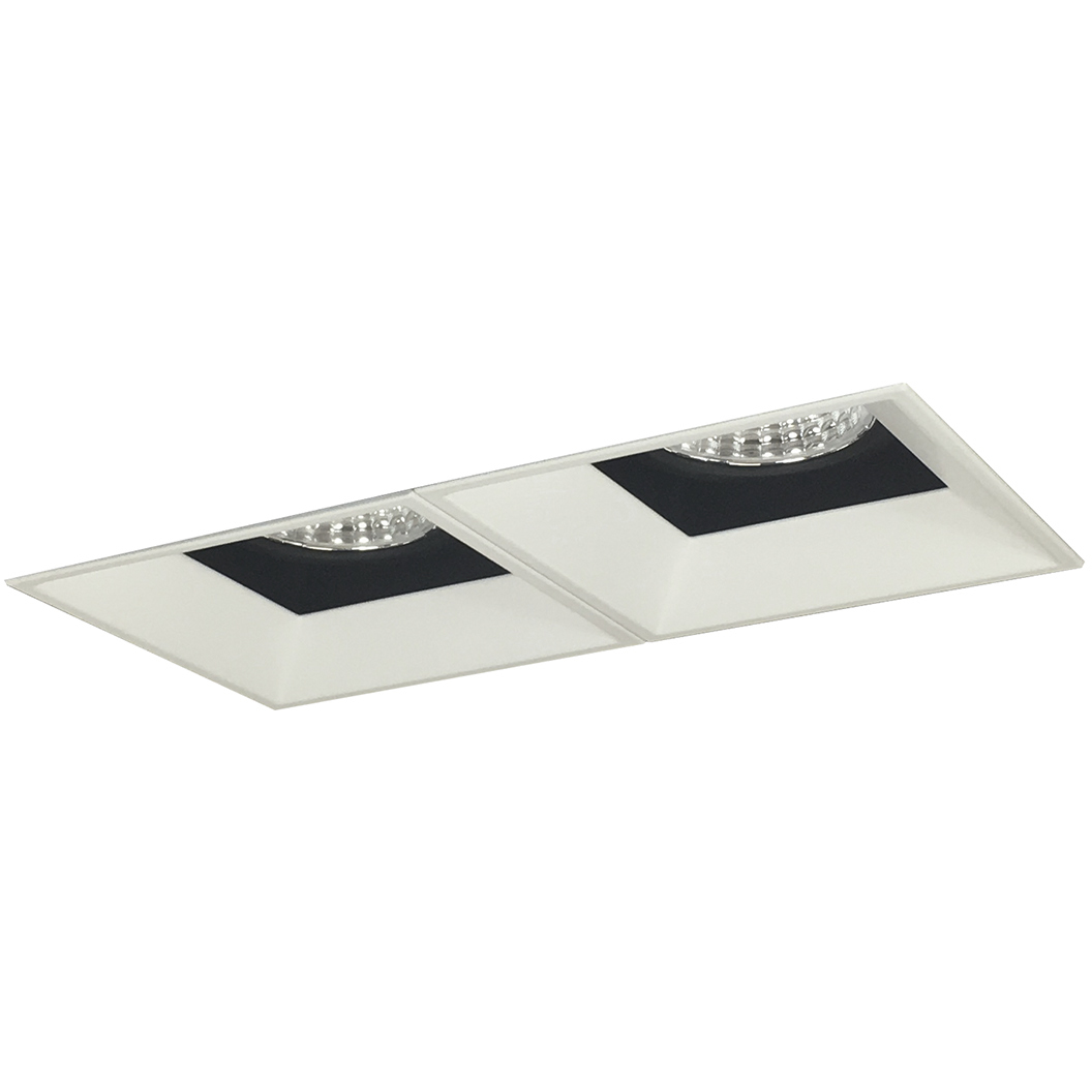 LE81 Black and Matte Powder White Recessed