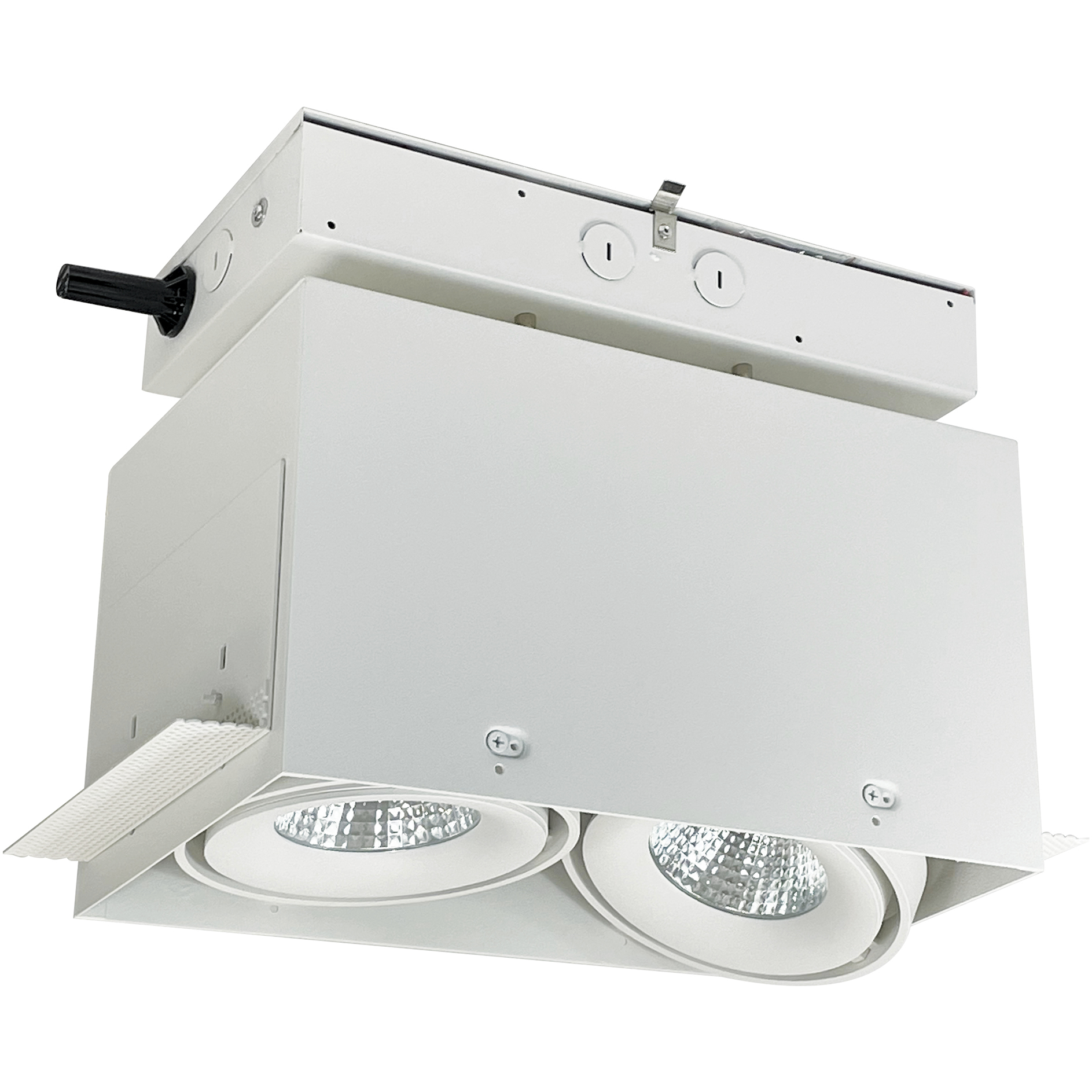 Trimless Multiple Lighting System White Recessed Trimless 2-Head MLS Housing in Spot, 2700K