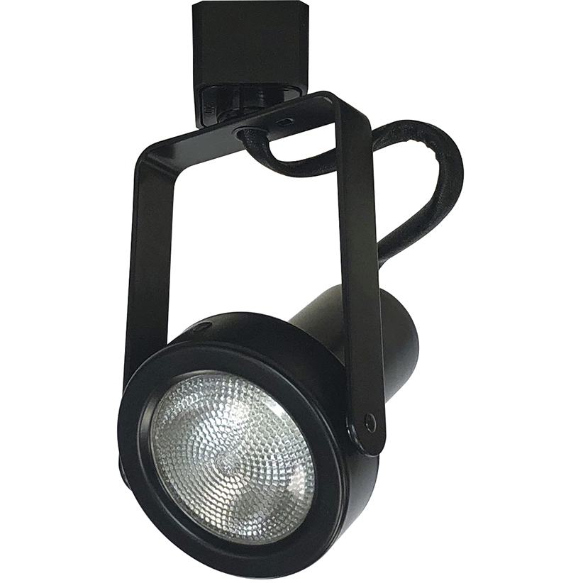 PAR20 Black Track Head Ceiling Light