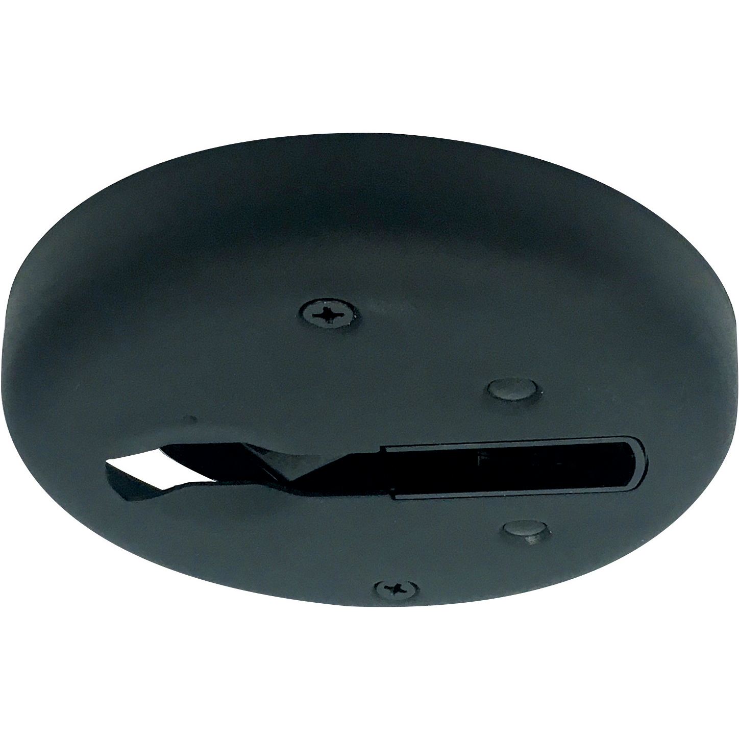 Aaliyah 1 Light Black Track Ceiling Light