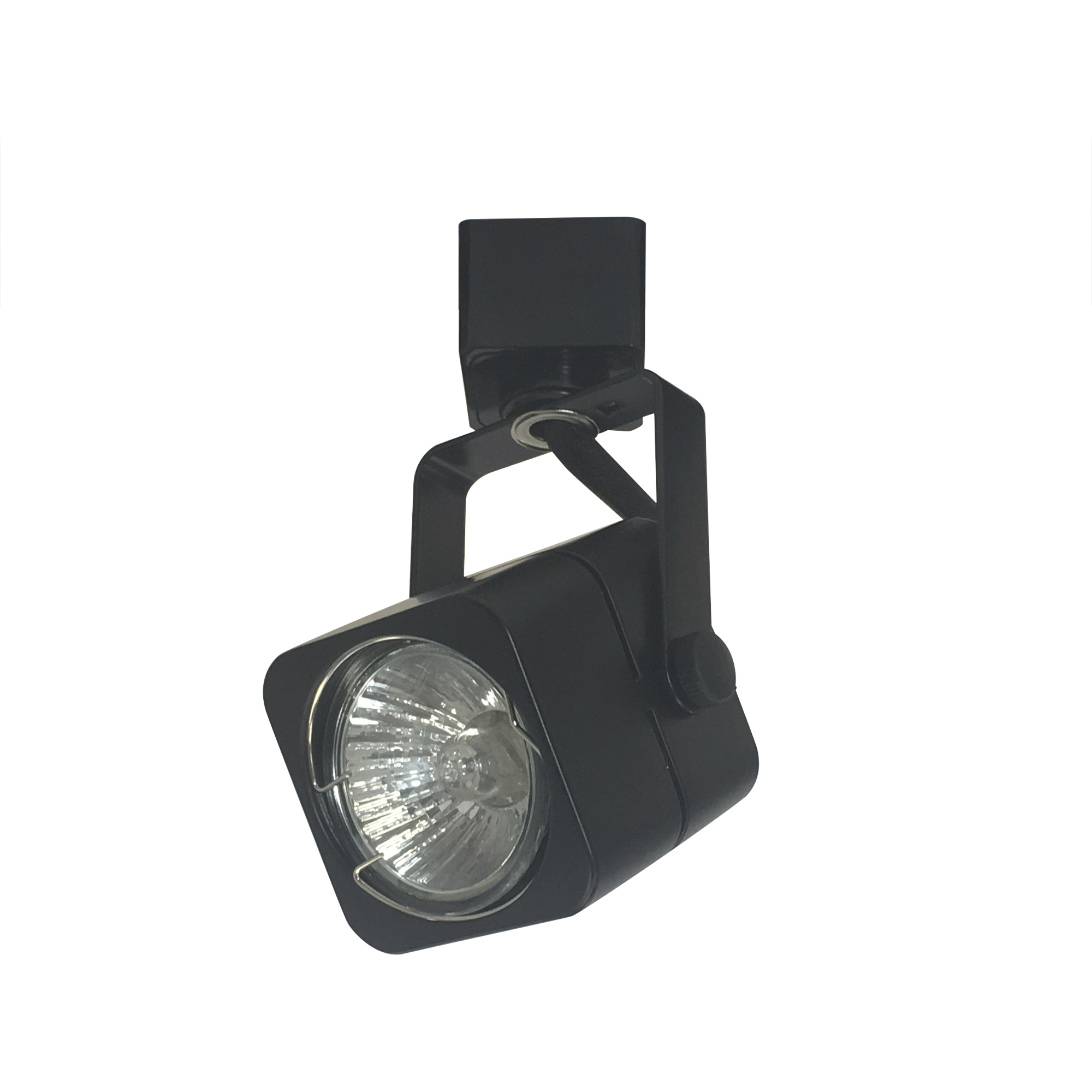 Aaliyah 1 Light Black Track Ceiling Light in H-Style