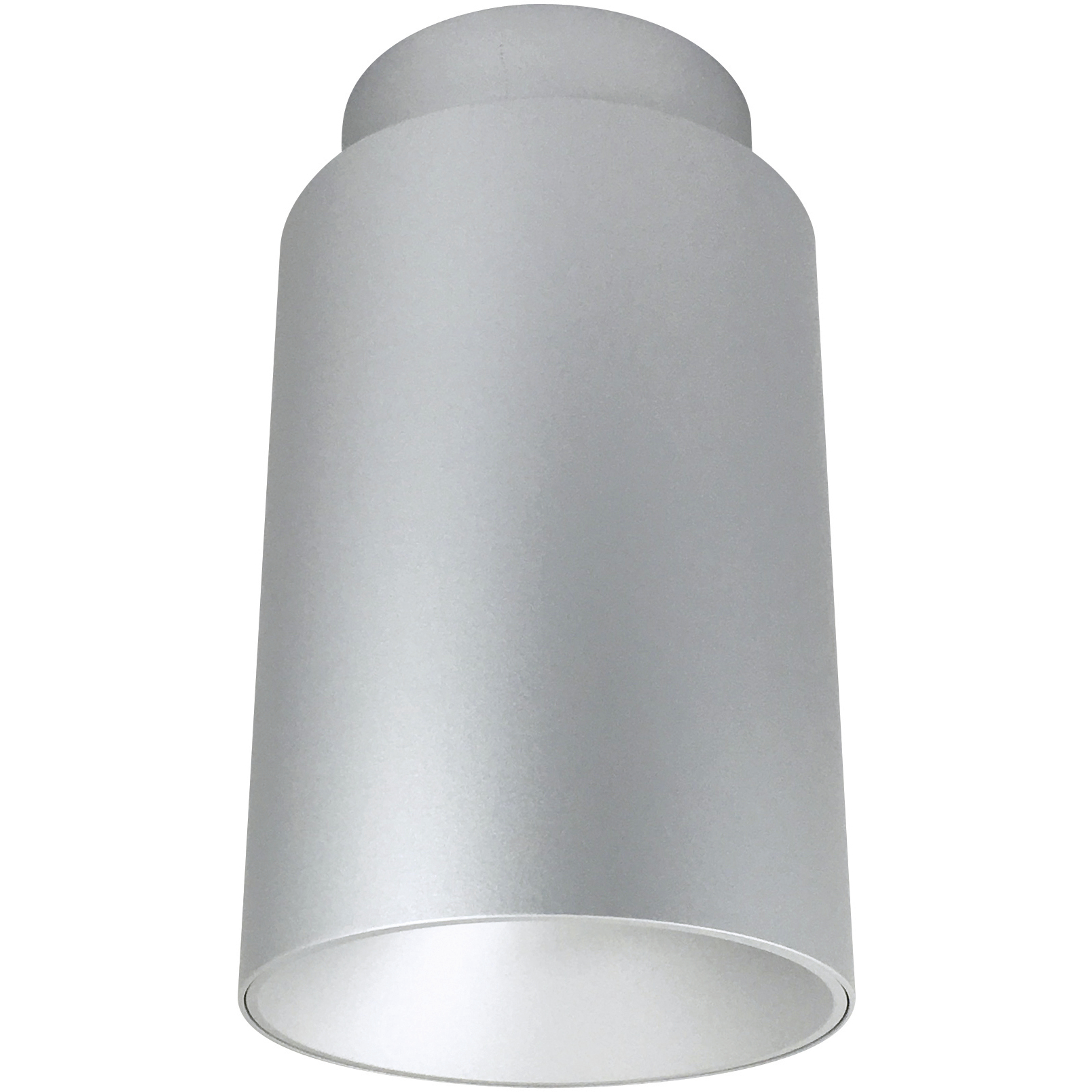 iLENE Surface Mount Mini Cylinder Ceiling Light in Comfort Dim, Silver, 1800