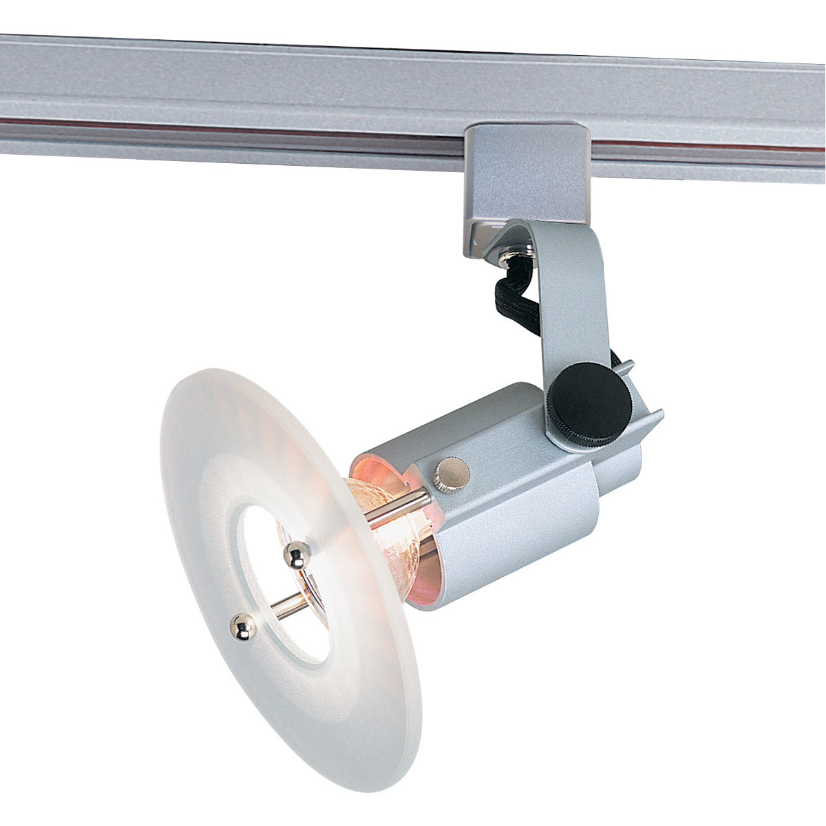 Copernicus 1 Light 120V Silver Track Head Ceiling Light